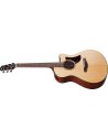 IBANEZ AAM300CE-NT