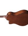IBANEZ AAM300CE-NT
