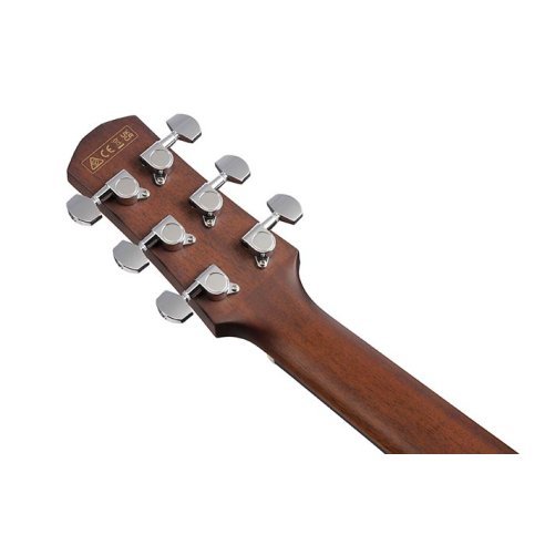 IBANEZ AAM300CE-NT