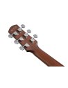IBANEZ AAM300CE-NT