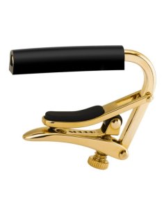 SHUBB C1G CAPO GOLD FOLK