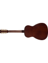 GRETSCH JIM DANDY PARLOR REX BURST