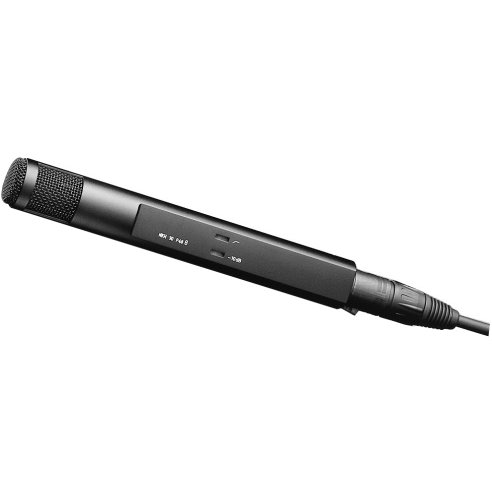 SENNHEISER MKH 30 P48 U