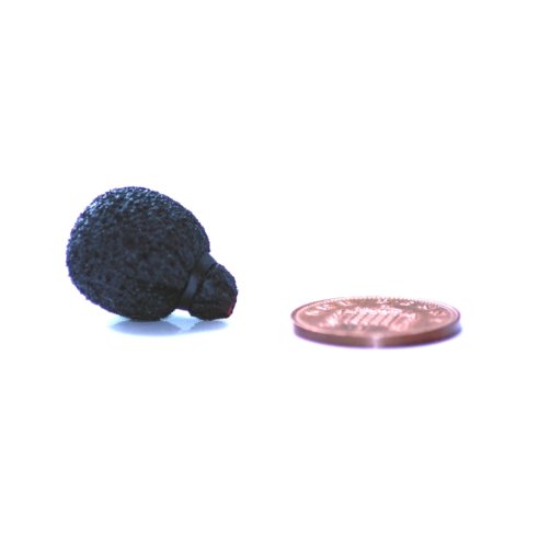 RYCOTE MICROPHONE Neoprene-coated Mini Lavalier Foam