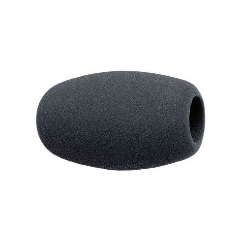SENNHEISER MZW 1