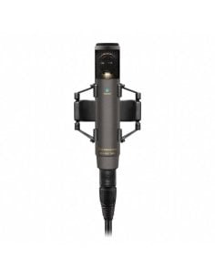 SENNHEISER MKH 800 TWIN NX