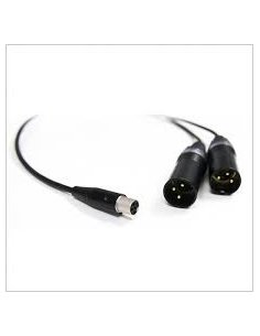 SENNHEISER CA 6042 XLR