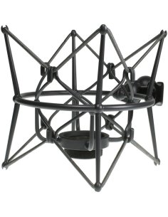 GEORG NEUMANN EA 2 mt
