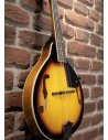 OQAN QMAN-10 SB SUNBURST