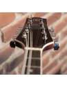 OQAN QMAN-10 SB SUNBURST