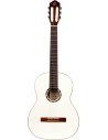 ORTEGA R121SNWH