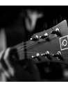 OQAN QGA-100 CE SOLID NAT (PREAMP)