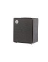 BLACKSTAR U-250 CABINET