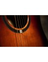 OQAN QGA-100CE SBG (PREAMP)