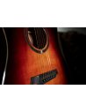 OQAN QGA-100CE SBG (PREAMP)