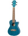 ORTEGA RUOCEAN-CE