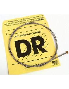 DR 024 RARE ACOUSTIC