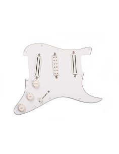 SEYMOUR DUNCAN PICKGRD ASSY DAVE MURRAY WHITE