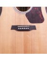 WALDEN WAD550EW CHITARRA ACUSTICA NATURA 500