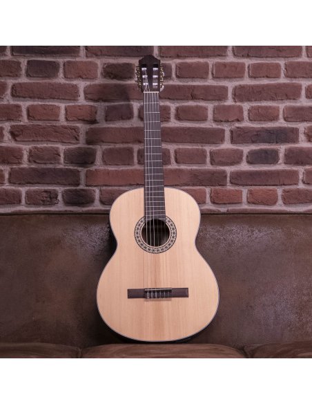 WALDEN WAN550EW CHITARRA CLASSICA NATURA 500 WALDEN WAN550EW CHITARRA CLASSICA NATURA 500