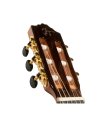 JOSE TORRES JTC-300