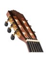 JOSE TORRES JTC-65CE