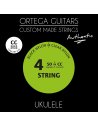 ORTEGA UKABK-CC