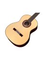 CORDOBA ITALIA C7 ABETE