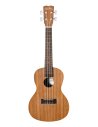 CORDOBA ITALIA UP100 UKULELE PACK