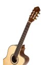 ORTEGA RCE141NT