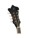 ORTEGA RMF30-WB