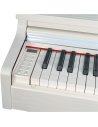 OQAN QP88SW