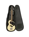 BLACKSTAR CARRY-ON-BASS-GB