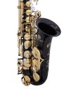 JUPITER ITALIA JAS1100GOQ GLIDED ONYX