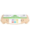 NINO PERCUSSION NINOSET19