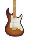 LARRY CARLTON S10 SSS TS