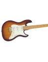 LARRY CARLTON S10 SSS TS