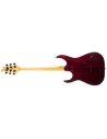 SCHECTER BANSHEE EXTREME 6 TR AURORA BURST RW
