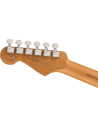 FENDER DE PLAYER STRAT ROASTED PF BLACK