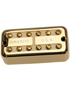 DiMarzio New\'Tron Neck Gold/Cream - DP291GCR