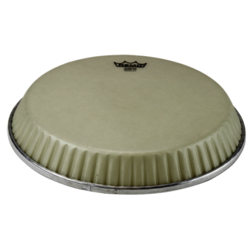 REMO M2-1175-N6-D2 NUSKIN PER CONGA 11 3/4