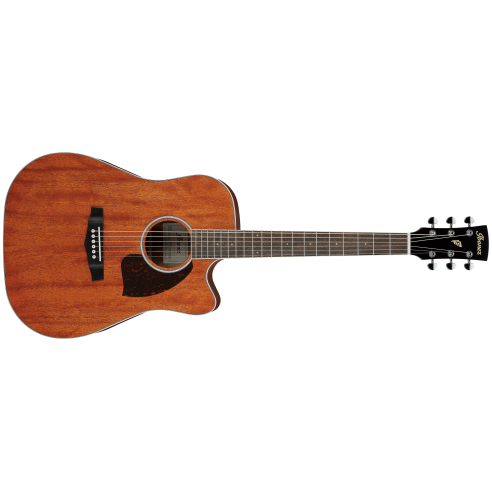 IBANEZ PF16 W CE OPN