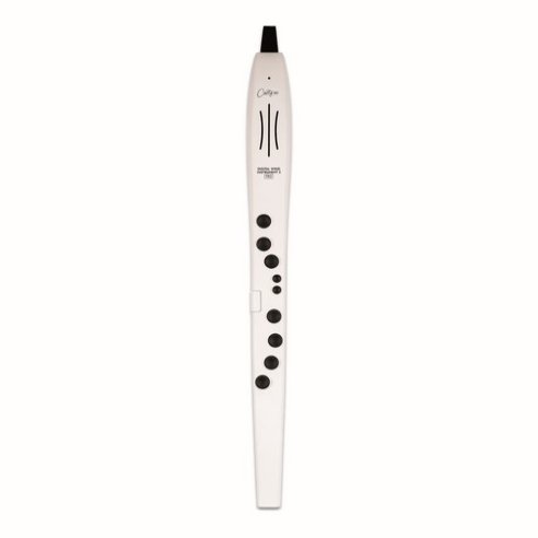 CARRY ON CO-DWI2PRO-WT - DIGITAL WIND INSTRUMENT PRO - BIANCO