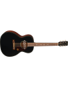 GRETSCH JIM DANDY CONCERT DELTO BLACK TOP