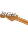 FENDER DE PLAYER PLUS HSS ROASTED MN BLACK