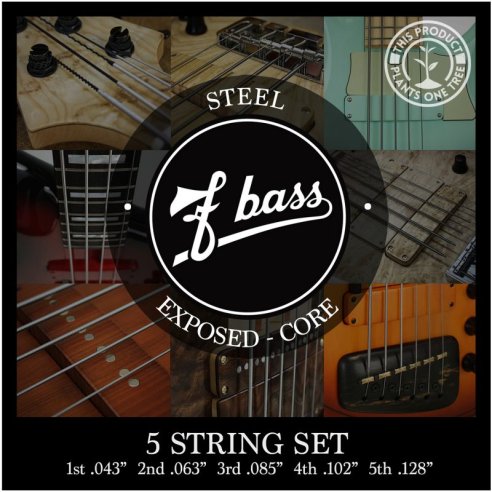 F BASS 5 STRING SET