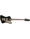 EPIPHONE REX BROWN THUNDERBIRD + CASE