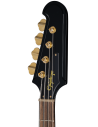 EPIPHONE REX BROWN THUNDERBIRD + CASE