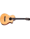TAYLOR 212ce-N PLUS