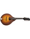EASTMAN PCH-M104-GB A STYLE GOLDBURST